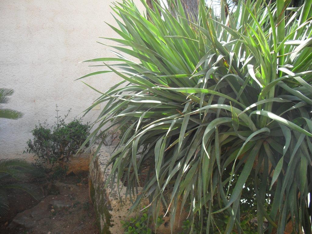 Casa Petros Apartman Marsala Kültér fotó